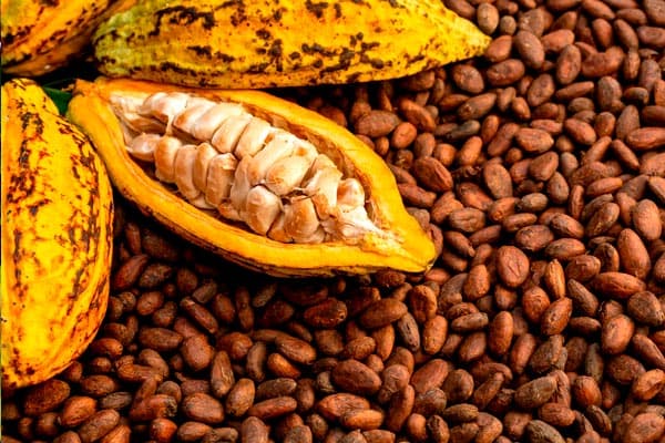 datos fascinantes sobre el chocolate