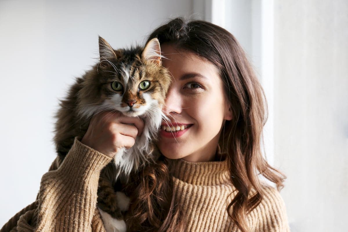 La raza de gato más linda para cada signo del zodíaco