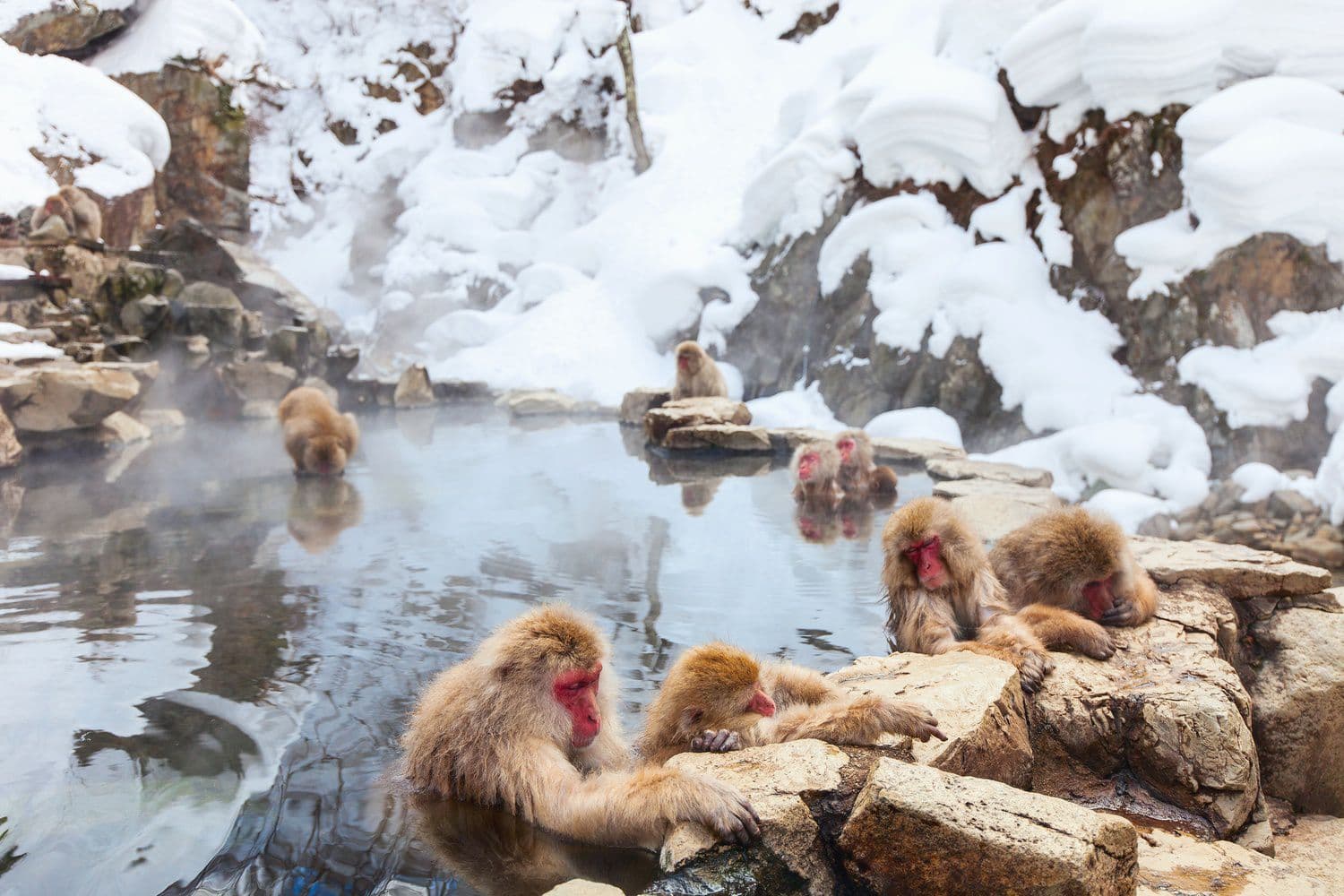 9 Destinos increíbles que querrás visitar este invierno