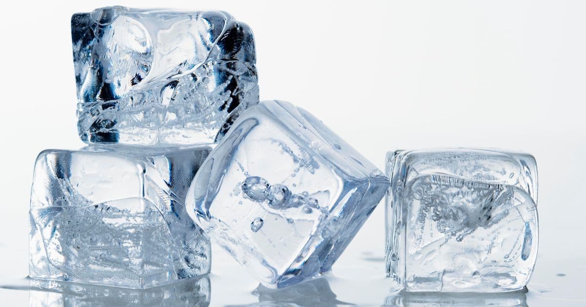 Haz cubitos de hielo más grandes | 8 formas de evitar que el hielo se derrita | bayas de cerebro
