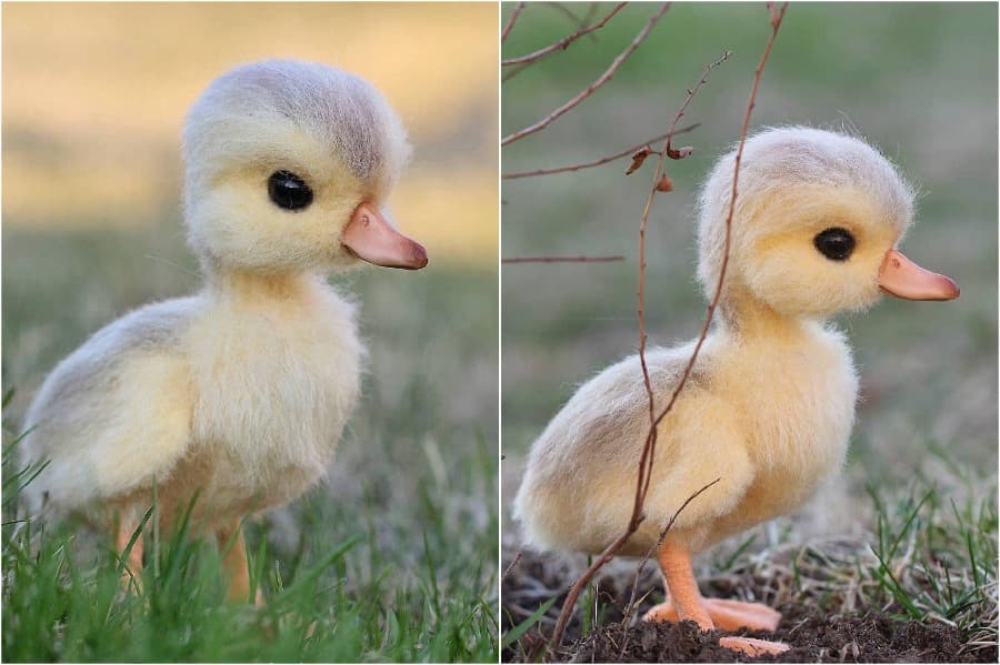 Patito |: Animales de fieltro súper realistas y extra lindos del artista ruso. bayas de cerebro