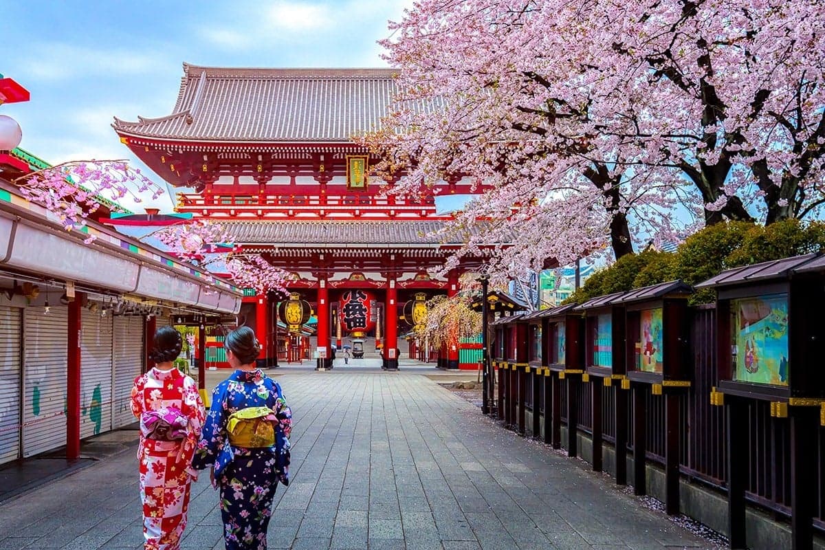 Japón 9 mejores destinos para viajeros solitarios | bayas de cerebro