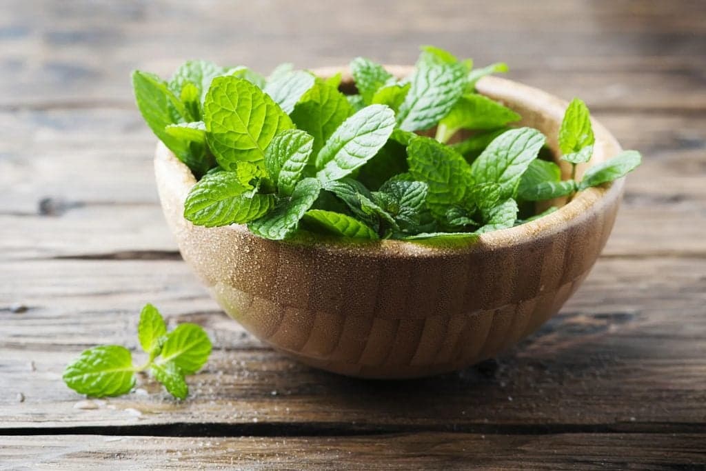10 alimentos para ayudar a reducir la hinchazón