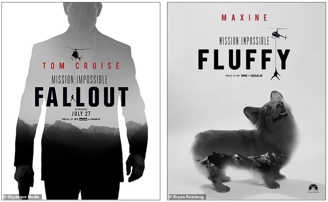 ¿Quién encargó el corgi esponjoso de los carteles de las películas de los Oscar?