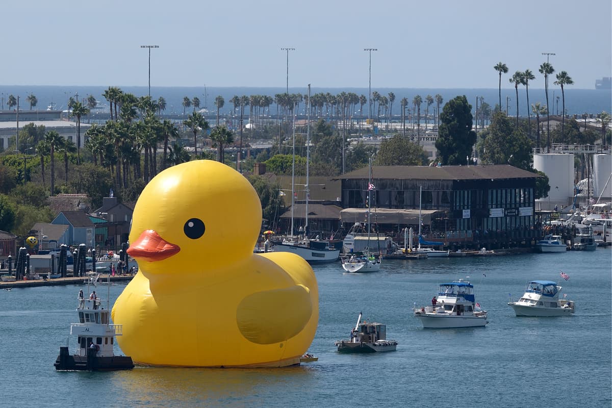 Patito de goma gigante | 10 instalaciones de arte más importantes | bayas de cerebro