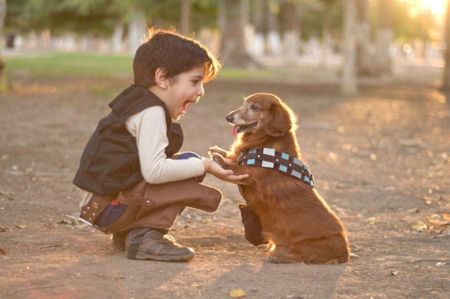 Más de 20 fotos que demuestran que todo niño necesita una mascota