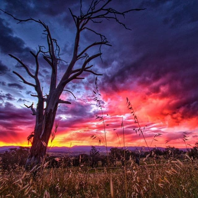 Ben Mulder toma las mejores fotografías del amanecer en el sureste de Queensland