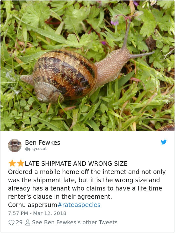 Divertidas reseñas tipo Amazon sobre animales extraños que se apoderan de Twitter (20 fotos)