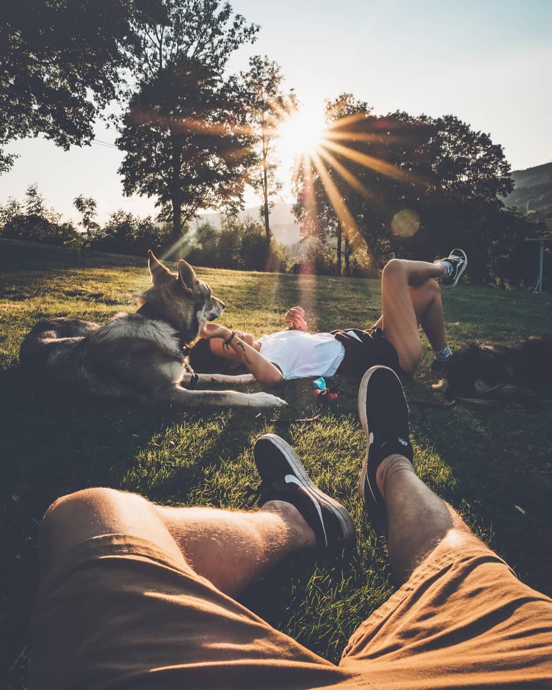 Un hombre y su perro lobo VS. madre naturaleza