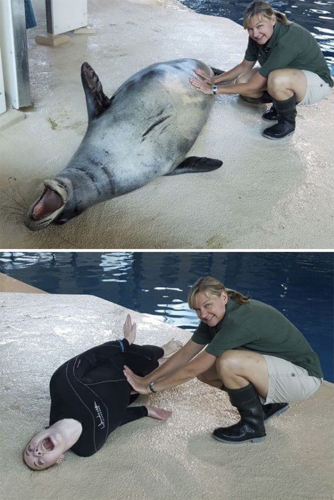 Esto es lo que sucede cuando los empleados del zoológico se aburren en el trabajo (15 fotos)