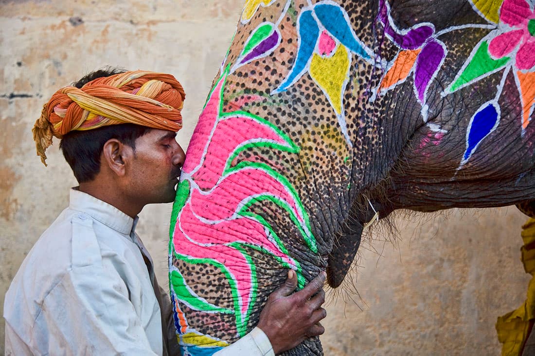 Festival de elefantes en India 4: