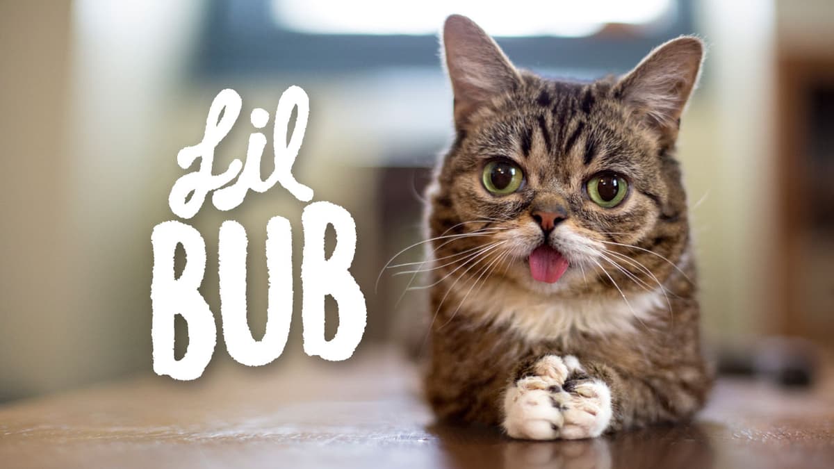 Lil Bab 1: