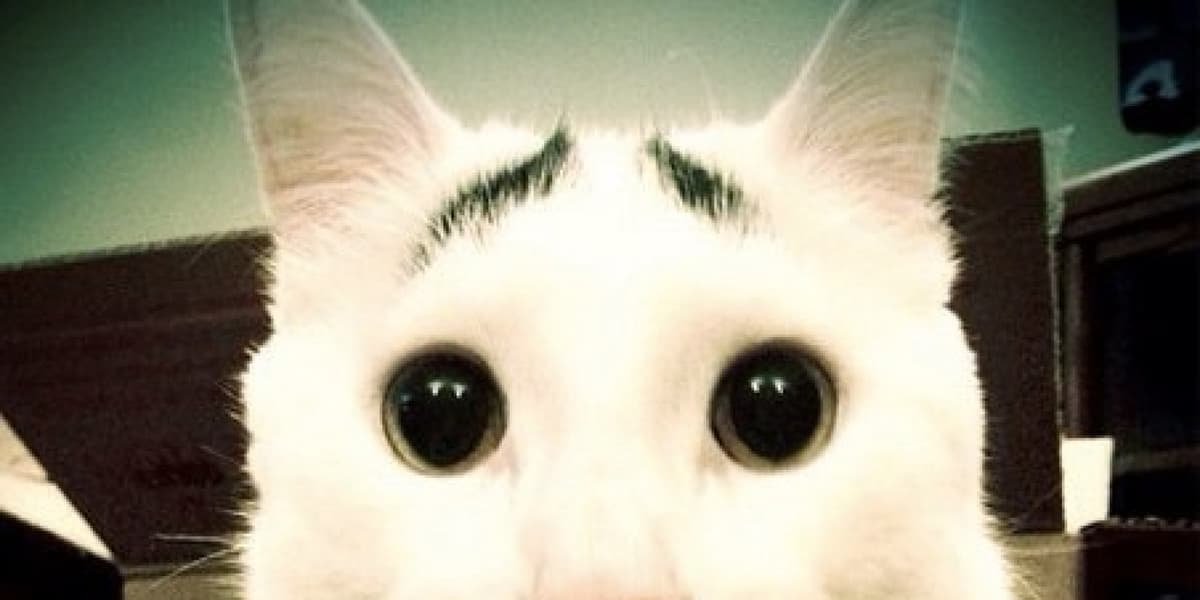 Sam 3:
