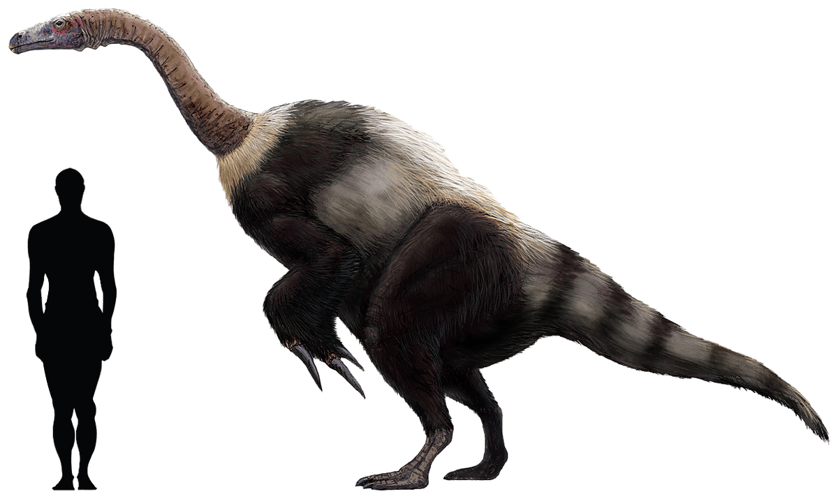 7) Suzhousaurus
