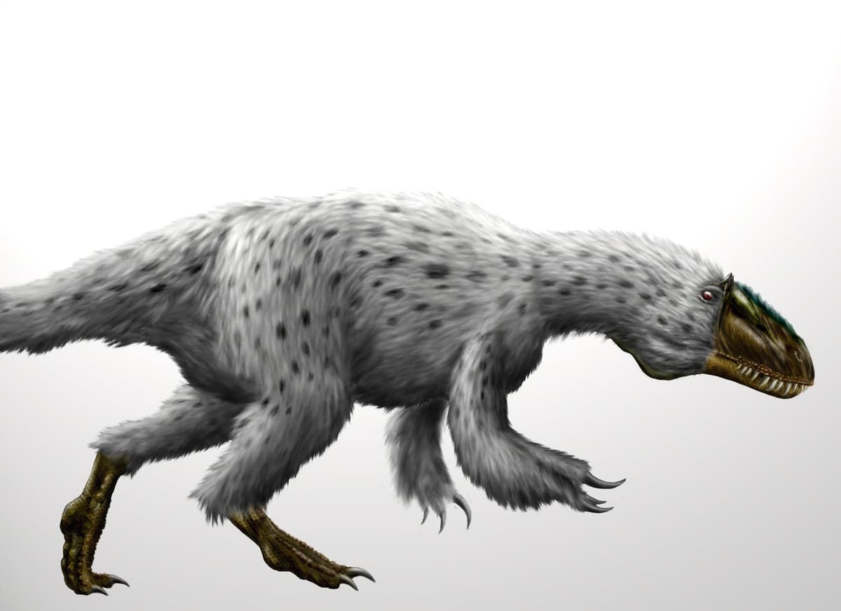 8) Yutytyranus
