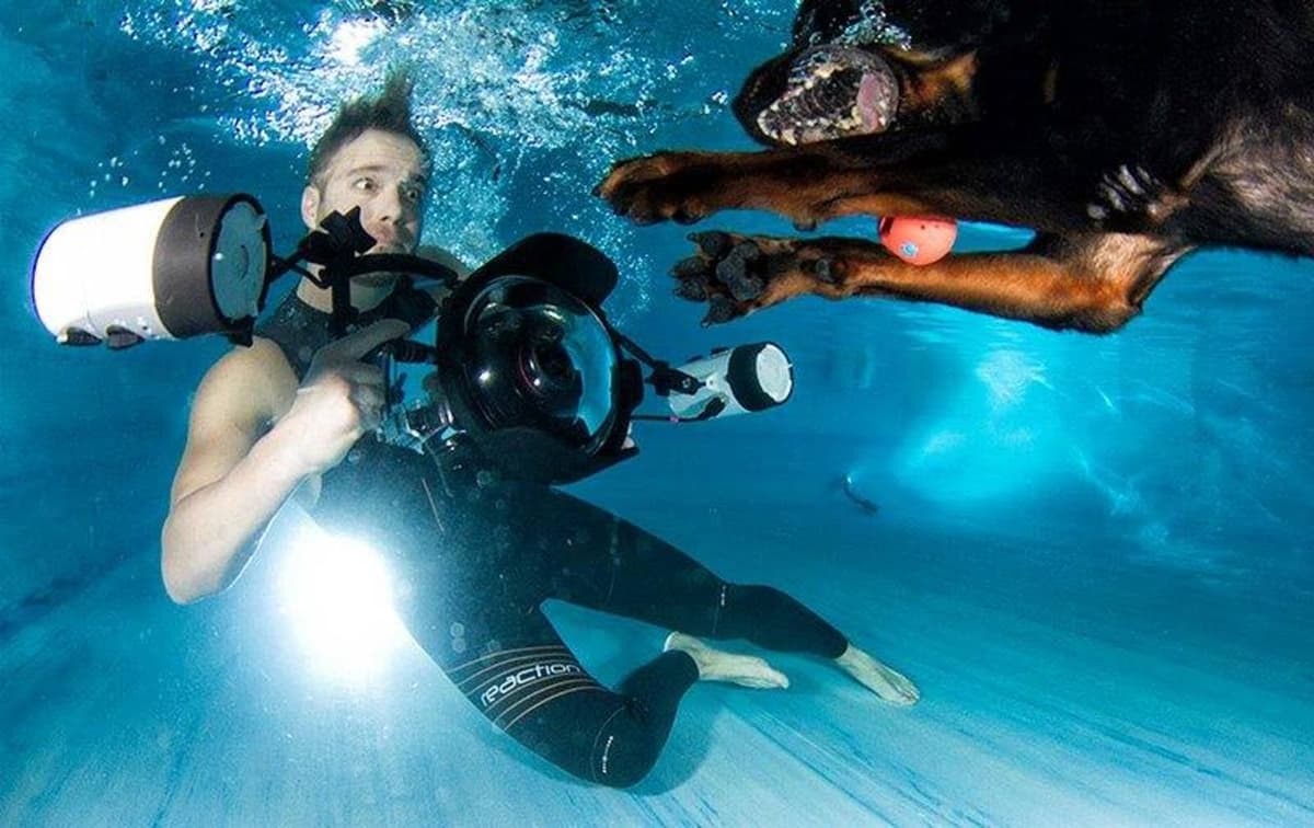 Perros submarinos, Seth Casteel 20