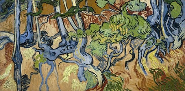 Últimas fotos de artistas famosos