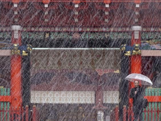 La primera nieve de noviembre desde Tokio desde 1962, parece fabuloso.