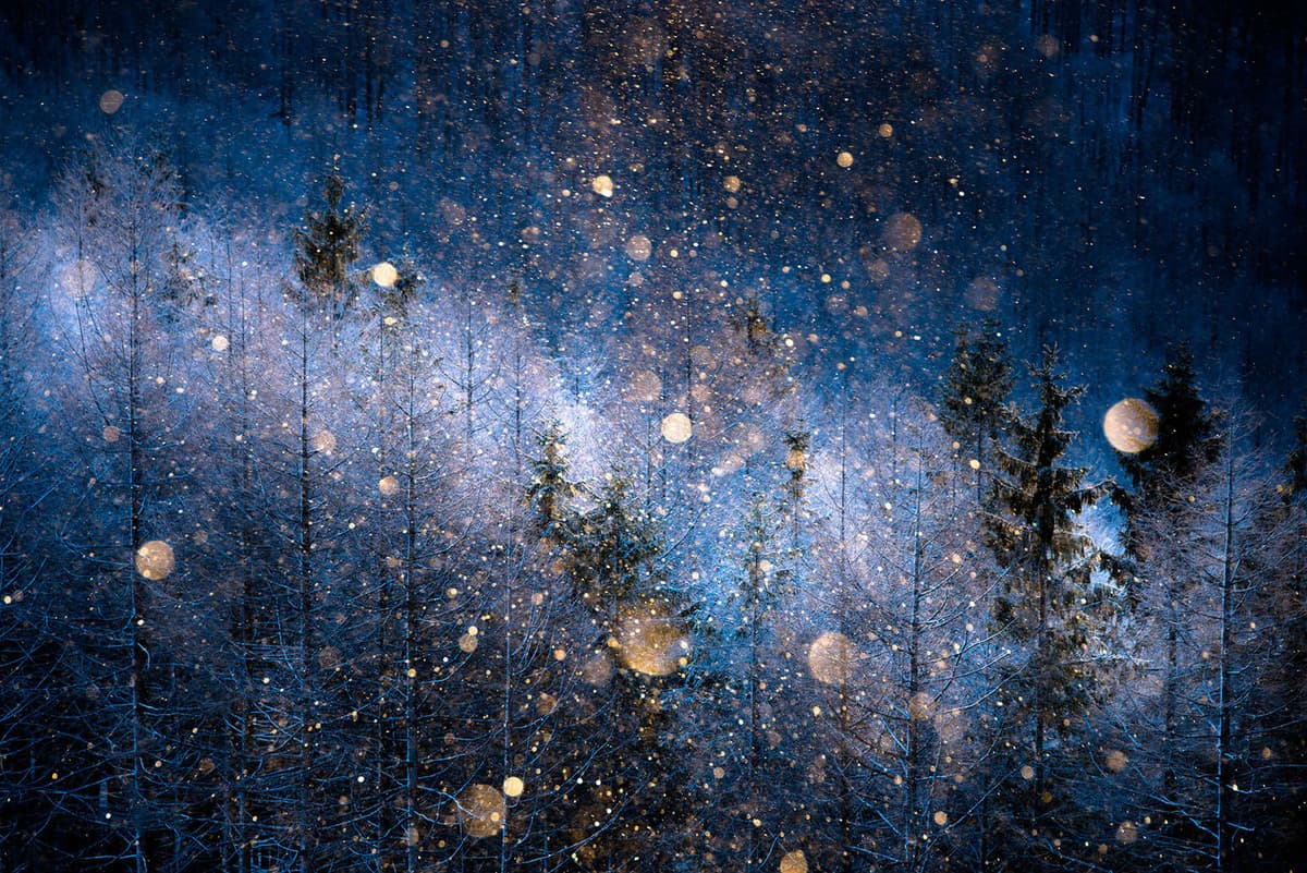 Sony-World-Photography-01-Diamond-dust