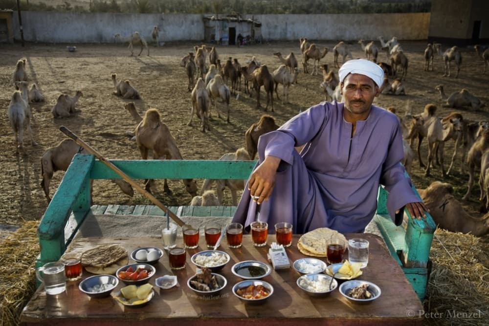 Lo que la gente común come en todo el mundo (21 fotos, Peter Menzel)