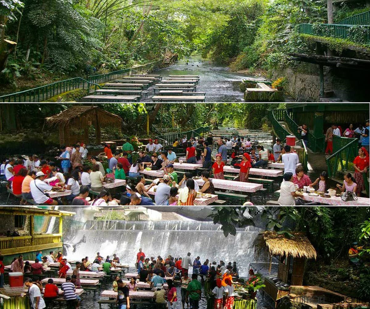 Las mejores escenas de restaurantes del mundo