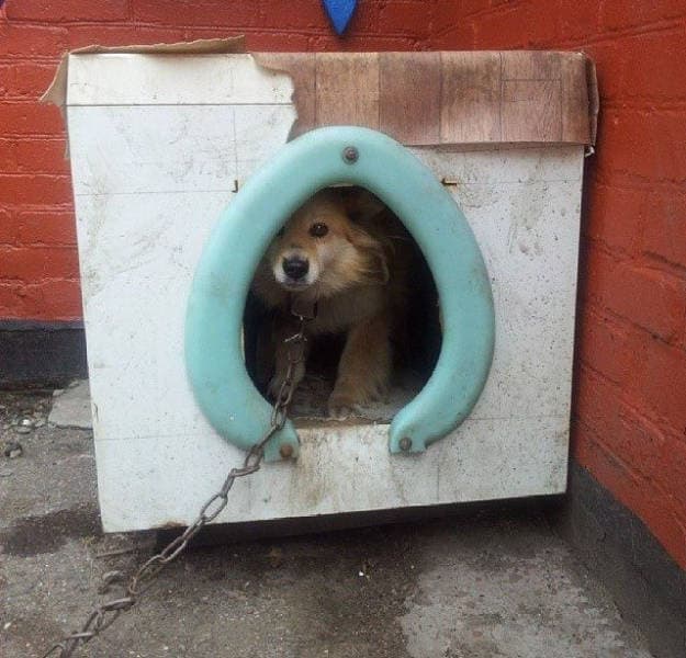Problemas simples: soluciones simples (23 fotos)