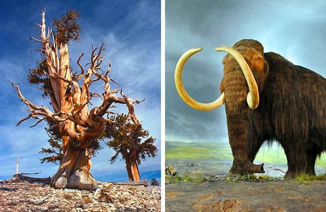 9 Hechos históricos impactantes que pueden desorientarte mentalmente