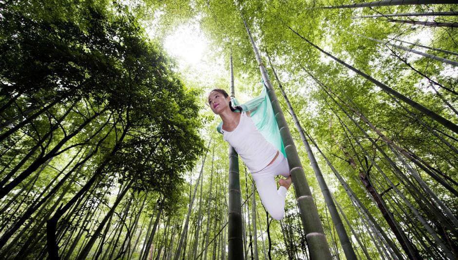 Bosque de bambú de yoga antigravedad (OMG) 1