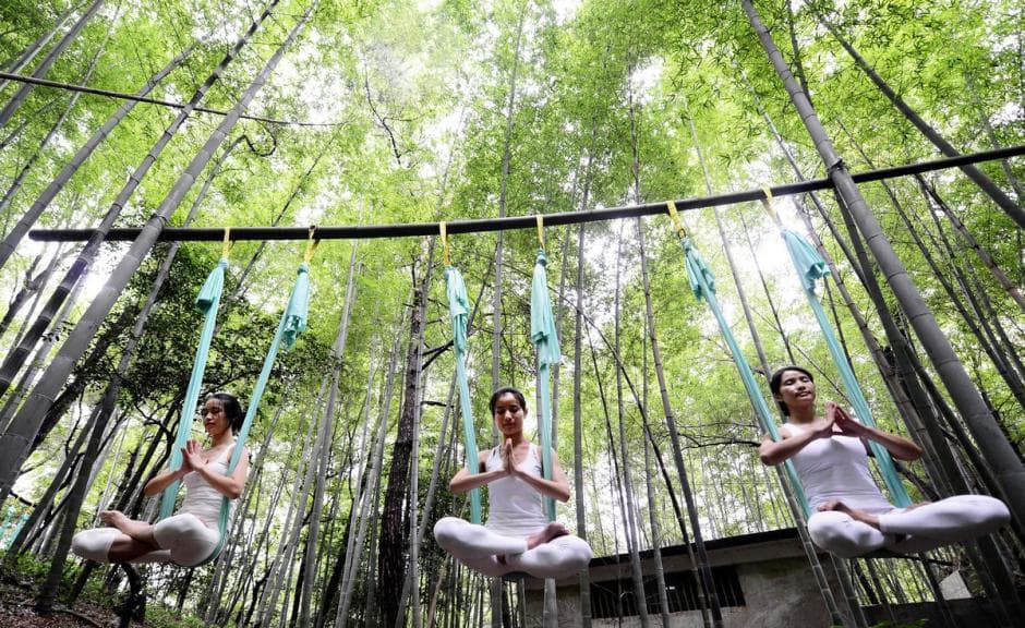 Bosque de bambú de yoga anti-peso (OMG) 7