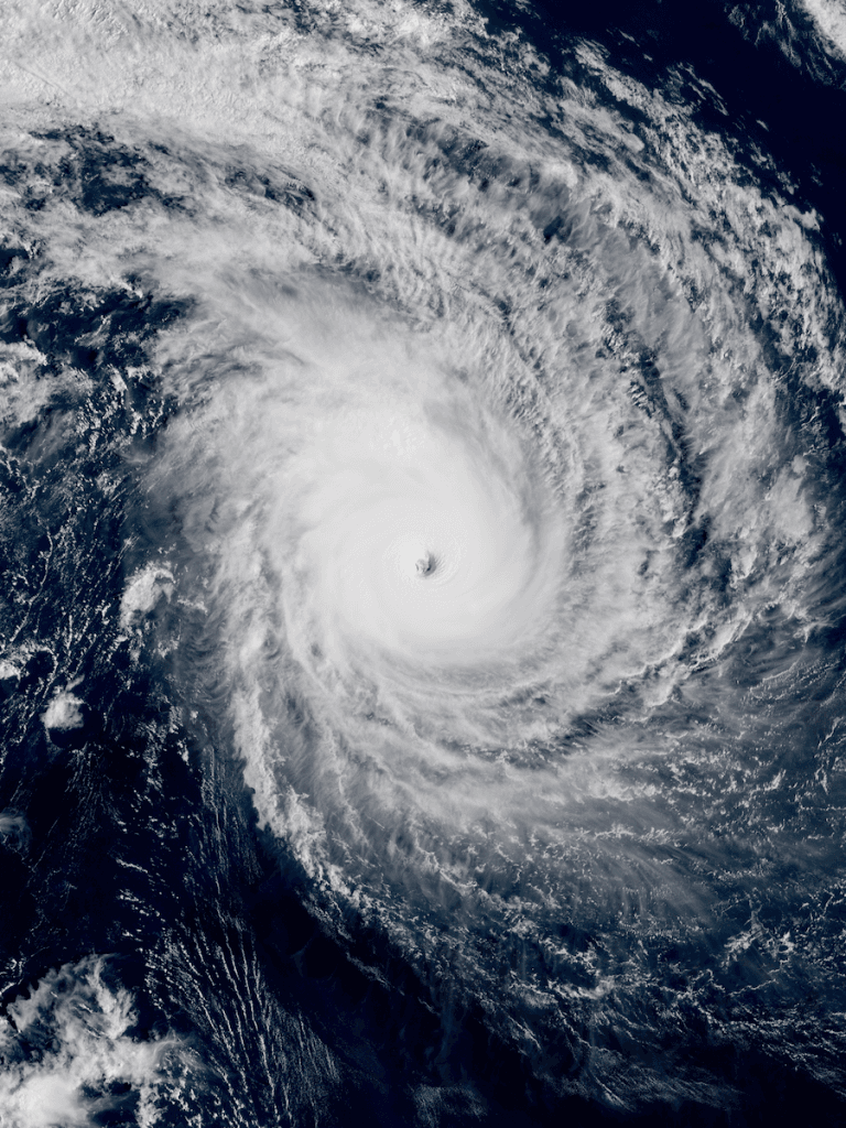 Son geniales | 6 tormentas de hechos increíbles | Bayas cerebrales