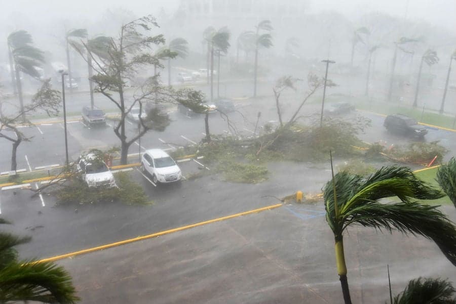 Son poderosos | 6 tormentas de hechos increíbles | Bayas cerebrales