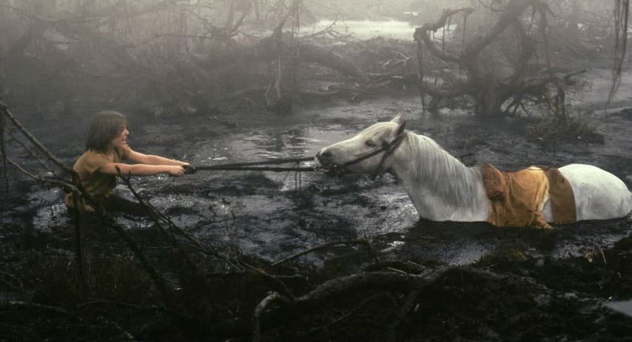 Historia del diálogo | 9 películas para niños que son muy cobardes | Bayas cerebrales