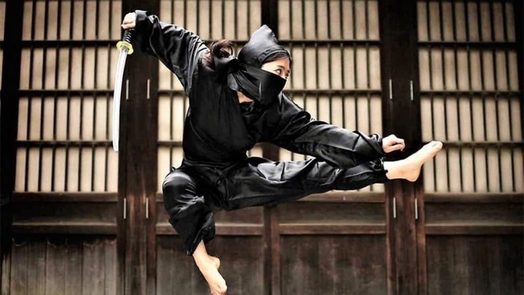 Ninjutsu | Disciplina anual de artes marciales | Bayas cerebrales