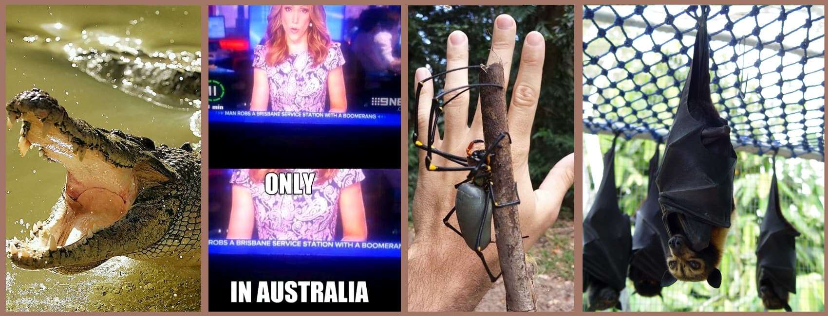 Australia: La tierra de la diversión extrema