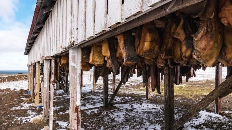 Alimentación poco convencional: 9 alimentos extraños consumidos por las personas