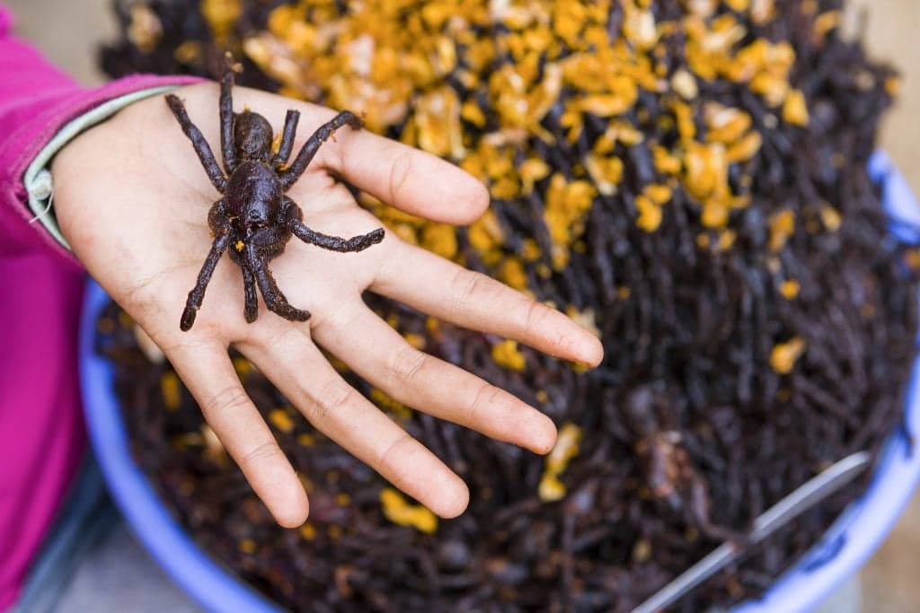 8 peculiaridades asiáticas sorprendentes