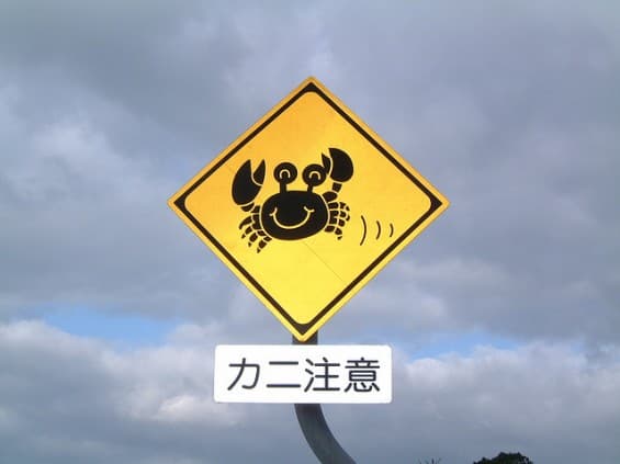 Señales de carretera de diversión (11)