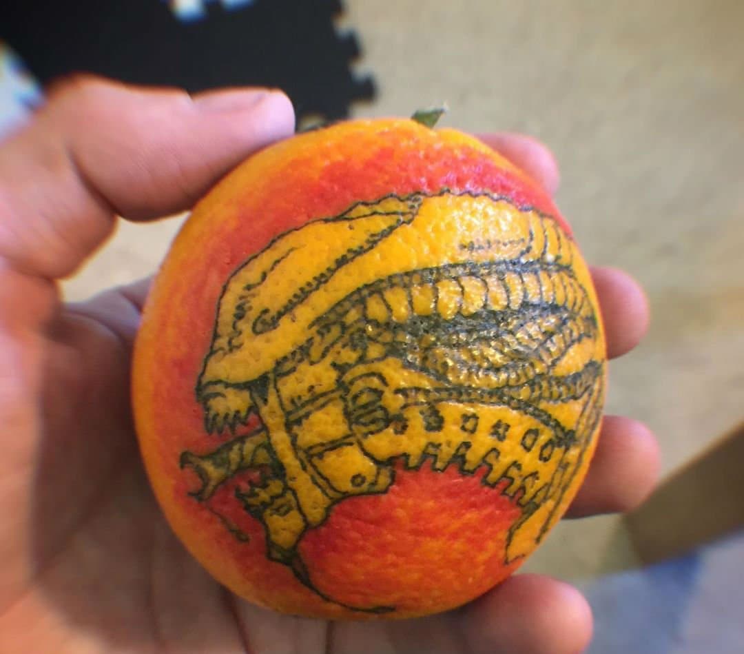 # 9 | Las naranjas de las naranjas una nueva tendencia del tatuaje. | Bayas cerebrales