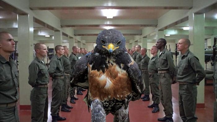 This-Hawk-Photoshop-Battle-Is-Epic-16
