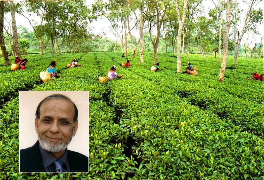 Los 8 multimillonarios más importantes de Bangladesh.
