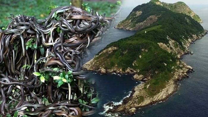 Siete islas poco comunes alrededor del planeta.