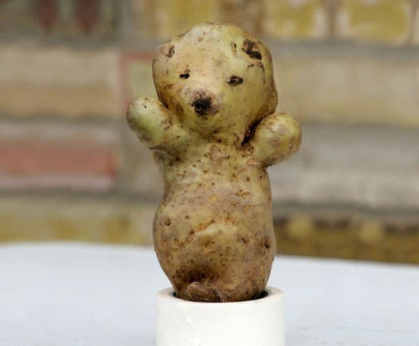 Strange-fruit-vegetables. (26)
