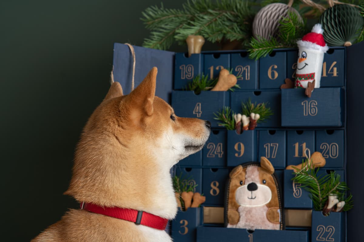 11 calendarios de adviento creativos, originales y sorprendentes que querrás obsequiar a tus seres queridos este año.