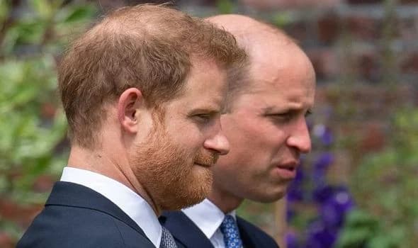 Los príncipes Harry y William manifiestan su indignación ante la divulgación de la sorprendente entrevista con la princesa Diana.