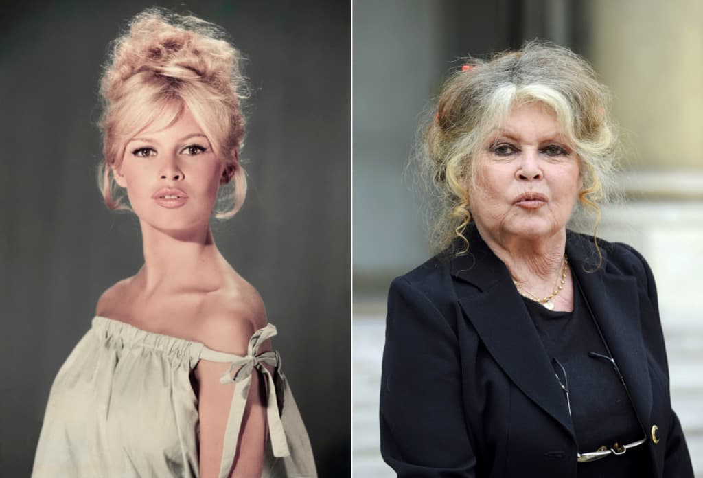 ¿En qué lugar se encuentra hoy la icónica Brigitte Bardot?