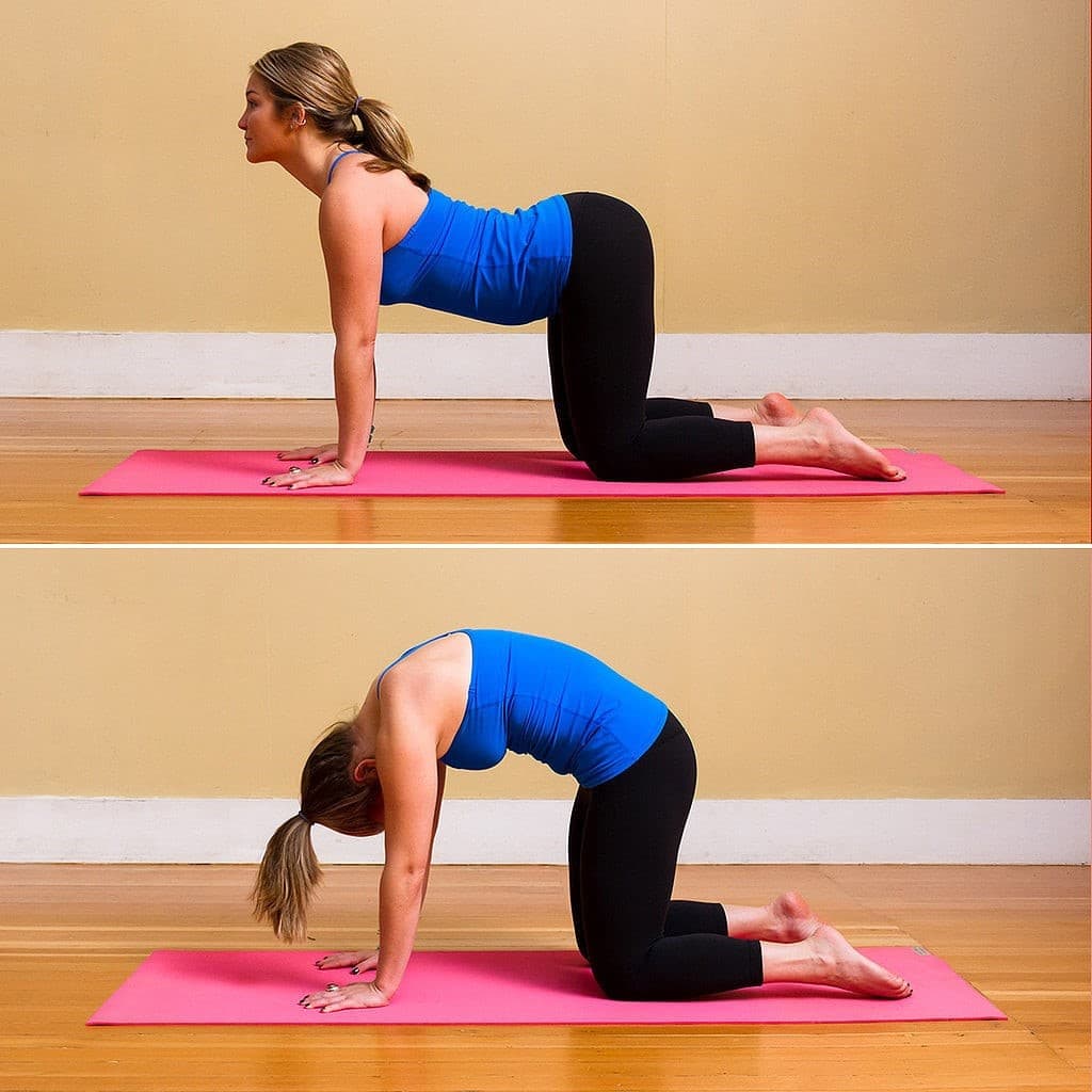 Del gato a la vaca |: 15 posturas de yoga matutinas para principiantes | su belleza
