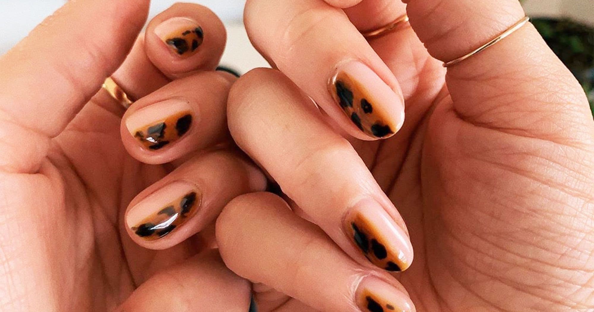Las uñas de carey son la moda de manicura más destacada para esta temporada otoñal.