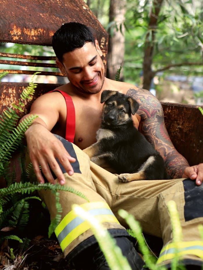 Calendario de perros n.º 2 |: Los bomberos y animales australianos más populares derriten nuestros corazones en el calendario benéfico 2020 | su belleza