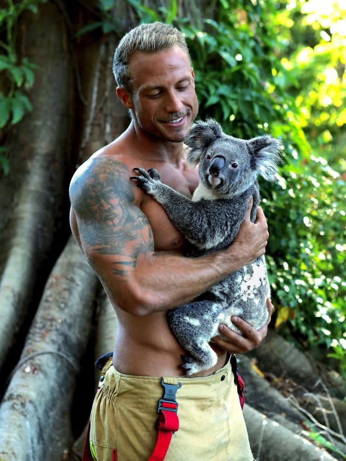 Pequeños koalas Los bomberos y los animales australianos calientes derriten nuestros corazones en el calendario benéfico 2020 | su belleza
