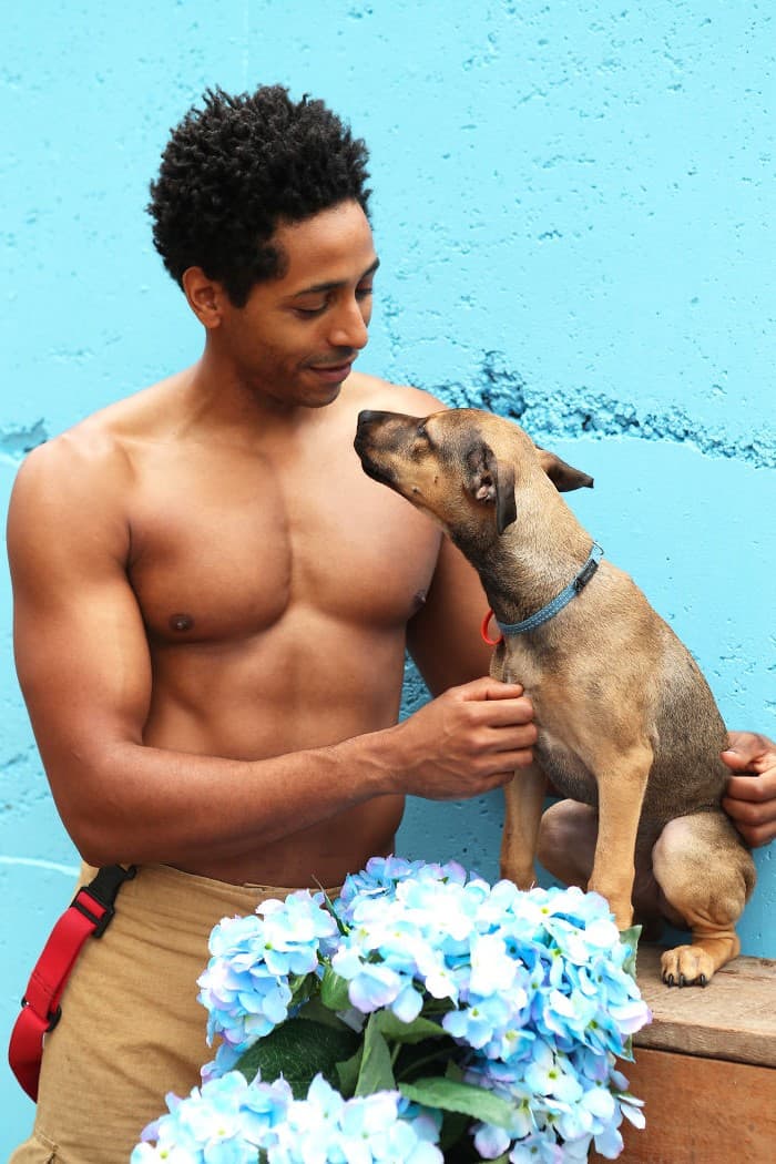 Cuerpos divinos |: Los ardientes bomberos y animales australianos derriten nuestros corazones en el calendario benéfico 2020 | su belleza